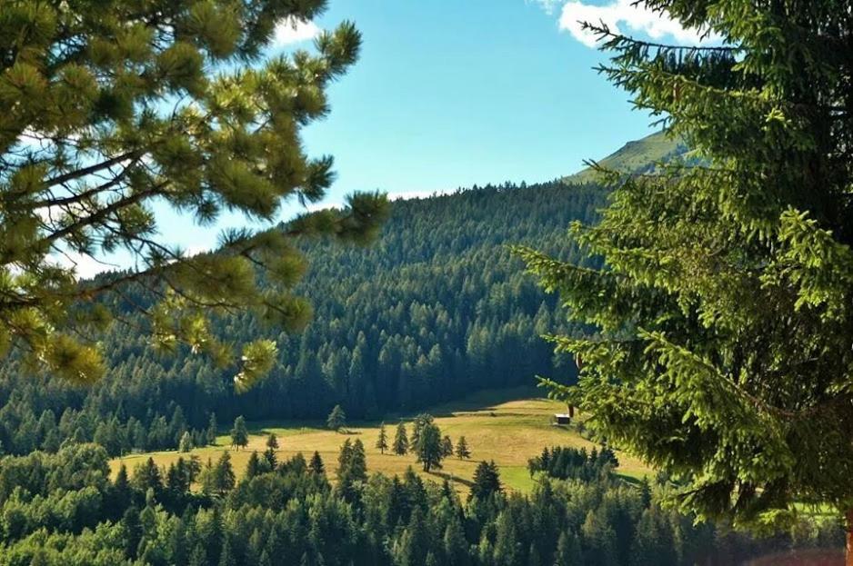 Ciasa Alpina Relax Hotel Моэна Экстерьер фото