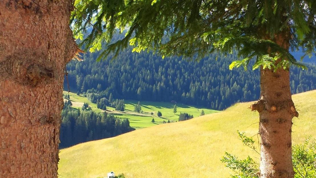 Ciasa Alpina Relax Hotel Моэна Экстерьер фото
