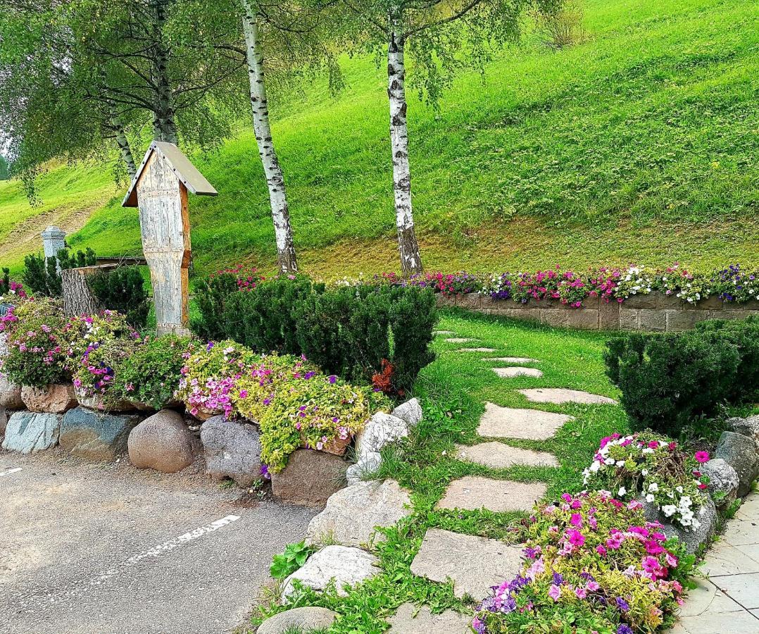 Ciasa Alpina Relax Hotel Моэна Экстерьер фото