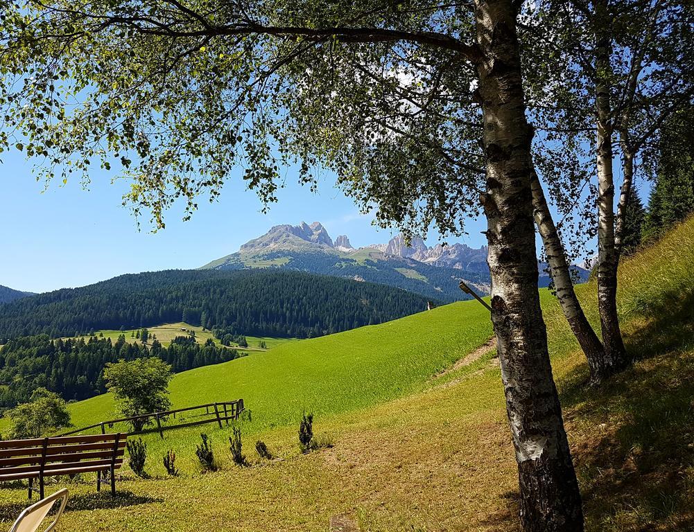 Ciasa Alpina Relax Hotel Моэна Экстерьер фото